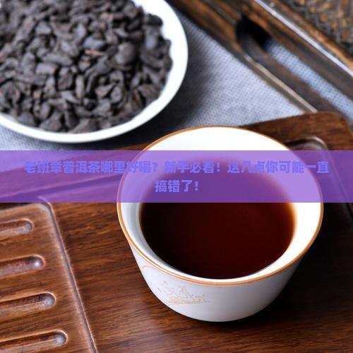 老班章普洱茶哪里好喝