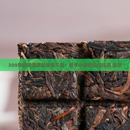 300块的普洱茶怎么样