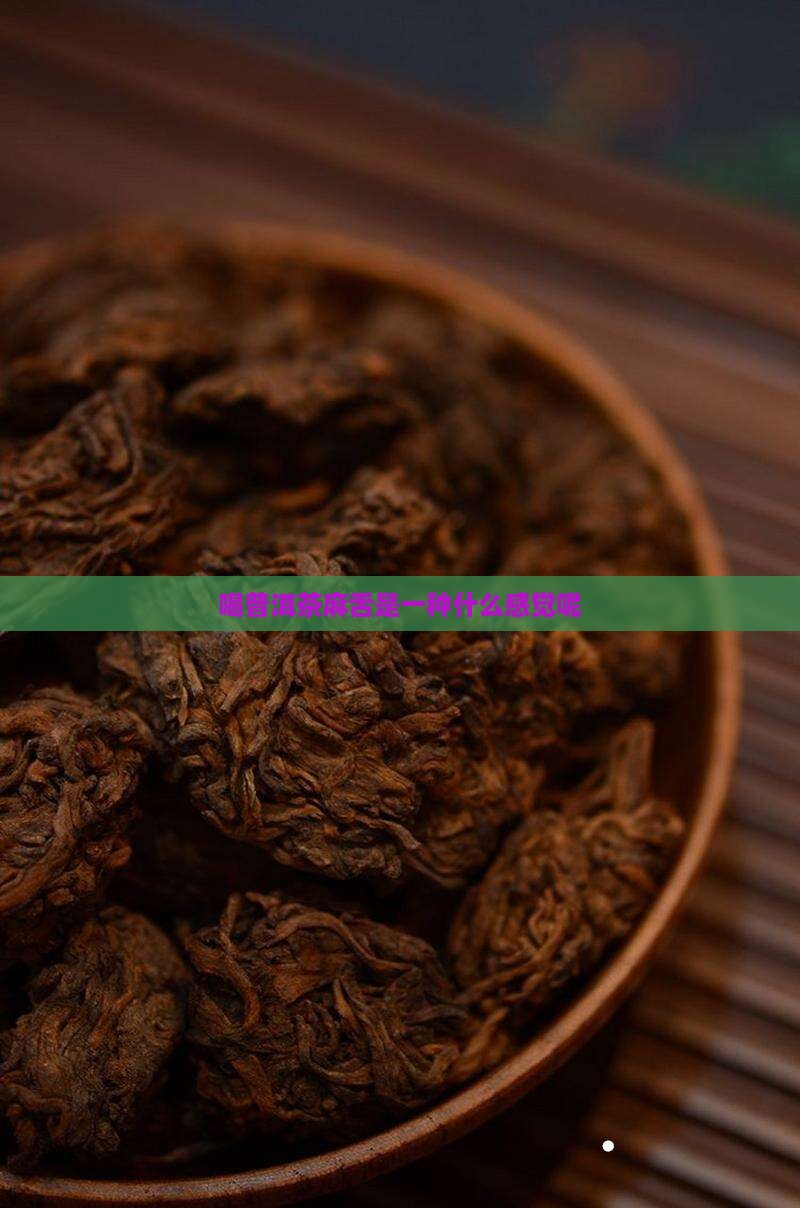 喝普洱茶麻舌是一种什么感觉