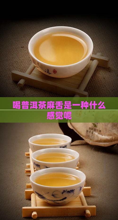 喝普洱茶麻舌是一种什么感觉