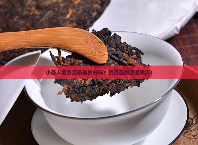 小茶人喝普洱茶
