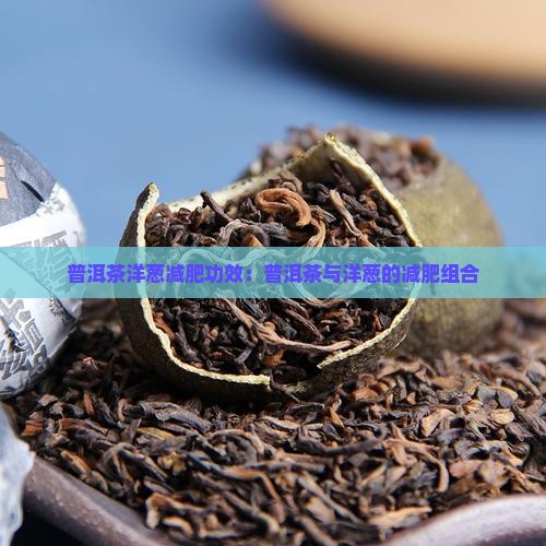 普洱茶洋葱减肥