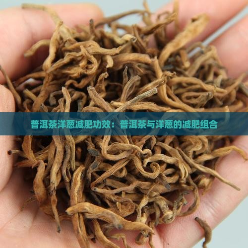 普洱茶洋葱减肥