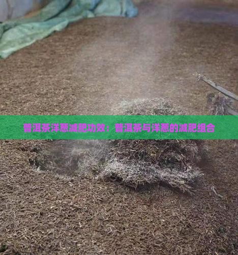 普洱茶洋葱减肥