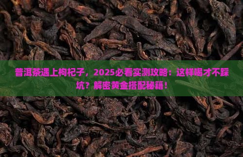 普洱茶与枸杞子能一起喝吗