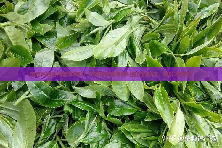 血压高适合喝普洱茶吗