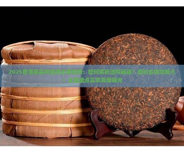 普洱茶品种选择表