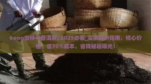 6oog俊仲号普洱茶