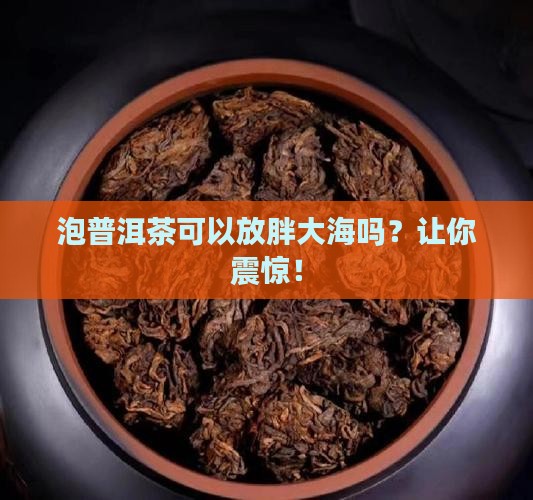 泡普洱茶可以放胖大海吗