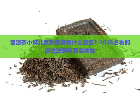 普洱茶小妹北京
