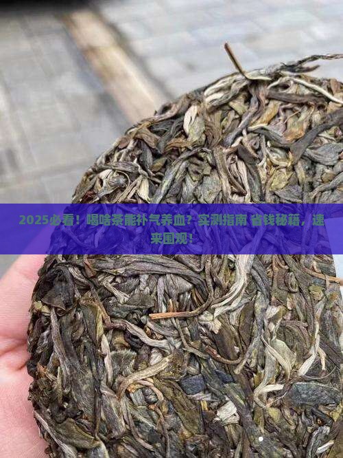 喝什么茶补气养血效果好