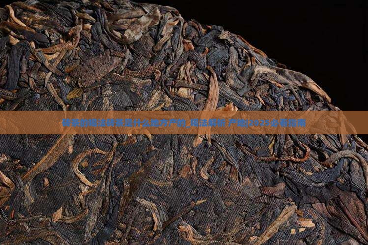 砖茶的喝法砖茶是什么地方产的