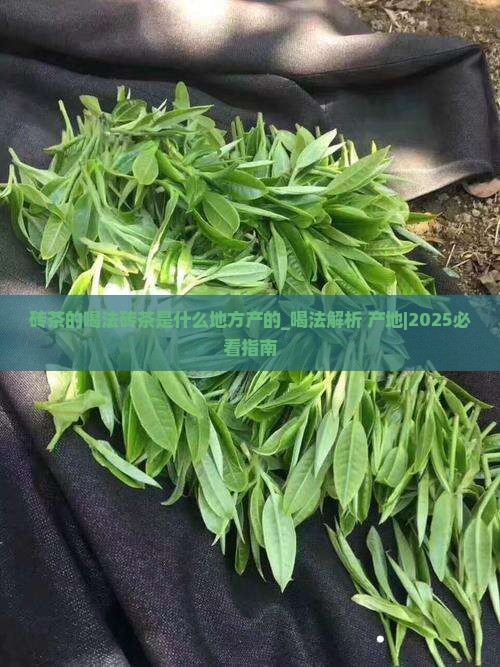 砖茶的喝法砖茶是什么地方产的