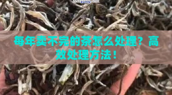 每年卖不完的茶怎么处理