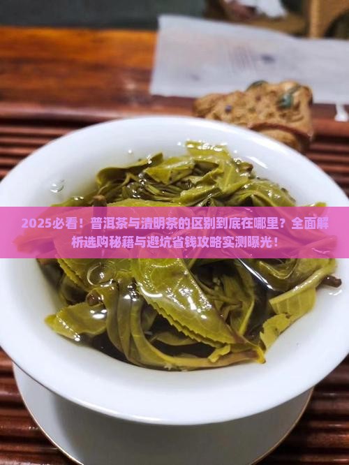普洱茶与清明茶的区别在哪里