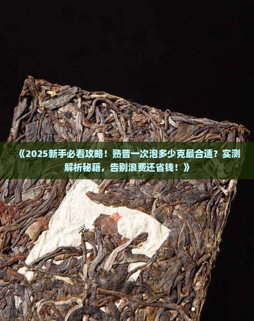熟普一次泡多少克
