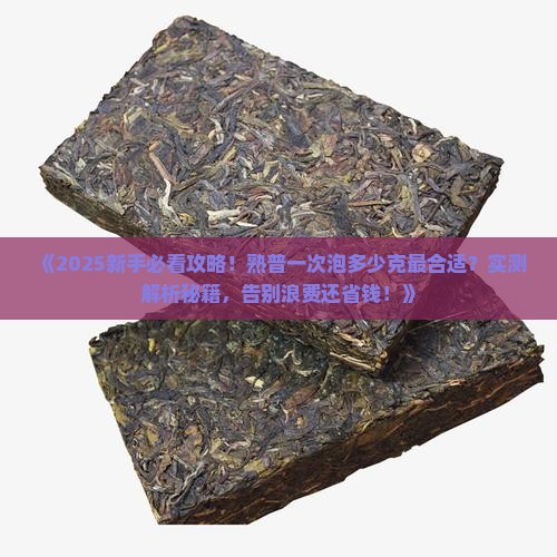熟普一次泡多少克