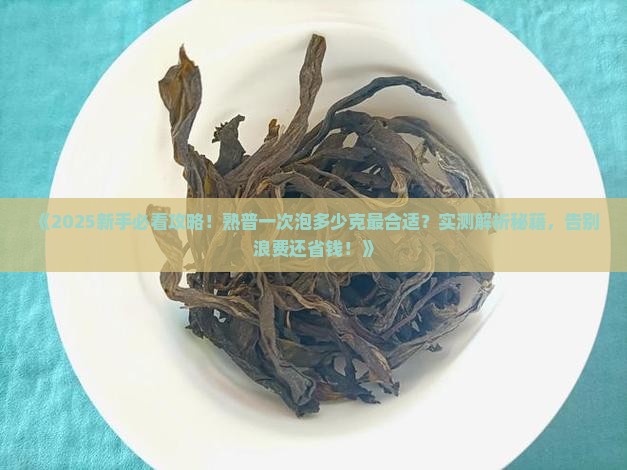 熟普一次泡多少克