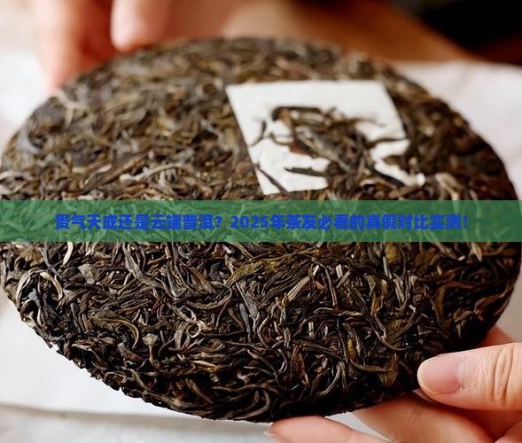 贵气天成对比云端普洱茶
