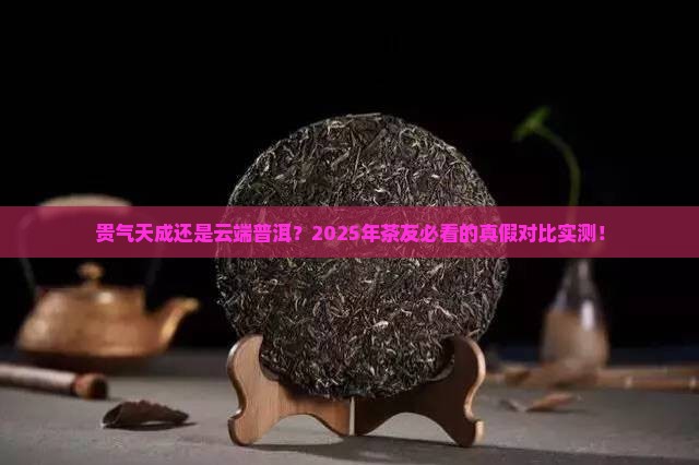 贵气天成对比云端普洱茶
