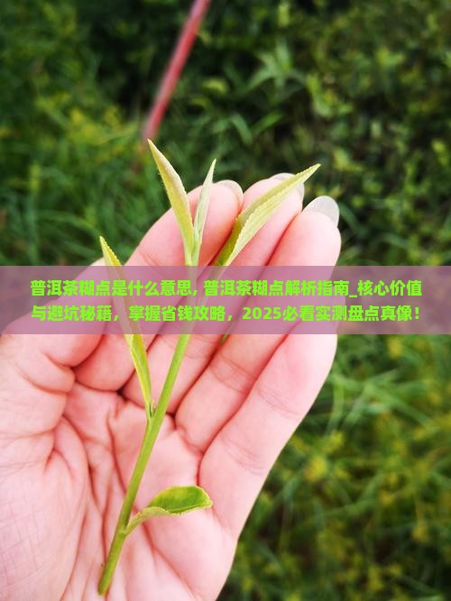 普洱茶糊点是什么意思