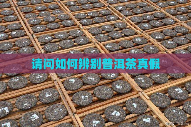 请问如何辨别普洱茶真假