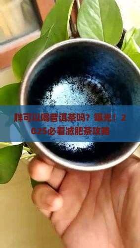 胖可以喝普洱茶吗吗