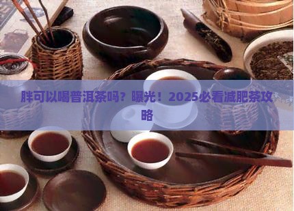 胖可以喝普洱茶吗吗