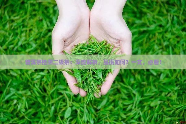 普洱茶检测二级茶