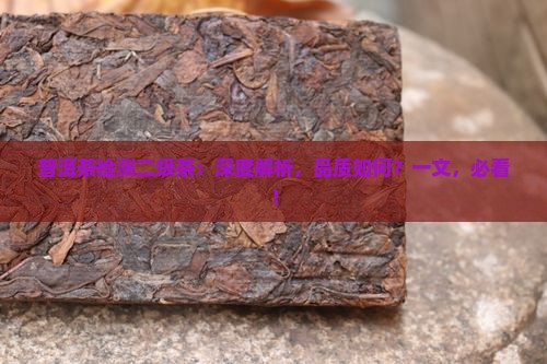 普洱茶检测二级茶
