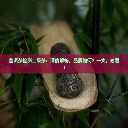 普洱茶检测二级茶