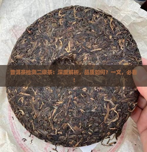 普洱茶检测二级茶
