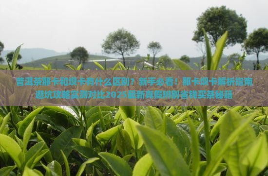 普洱茶那卡和坝卡