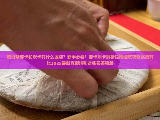 普洱茶那卡和坝卡