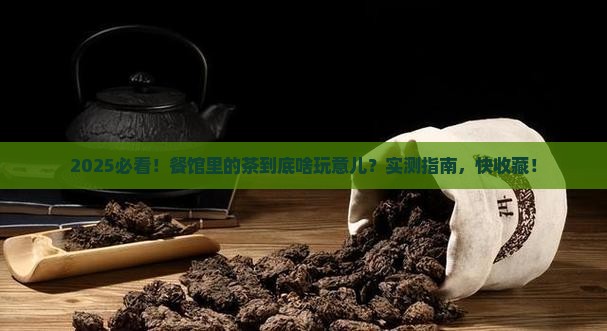 餐馆里的茶是什么茶