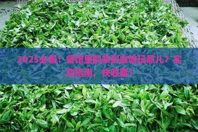 餐馆里的茶是什么茶