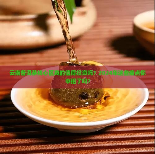 云南普洱茶核心区