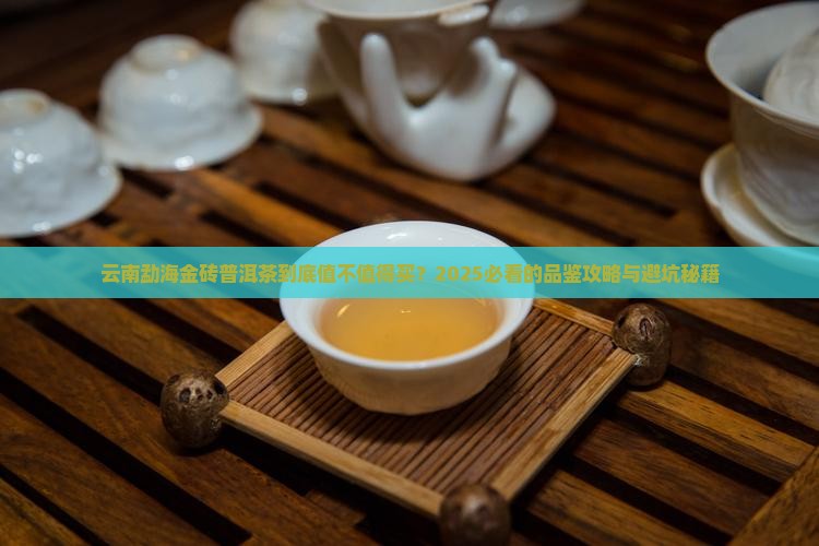 云南勐海金砖普洱茶