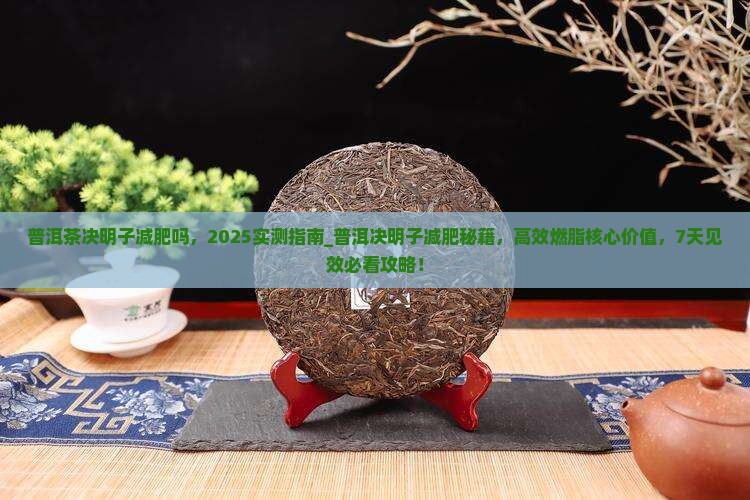 普洱茶决明子减肥吗