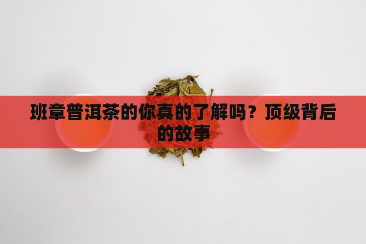 班章普洱茶的品牌