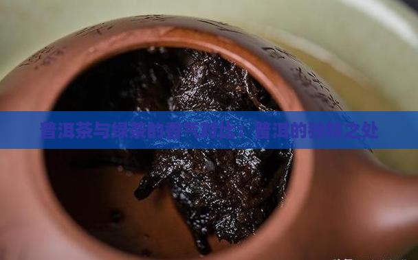 普洱茶闻起来像绿茶