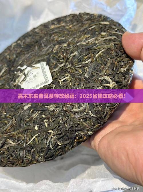 嘉木东来普洱茶怎么存放