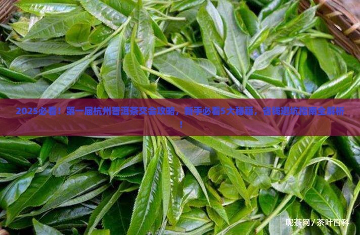 第一届杭州普洱茶交会
