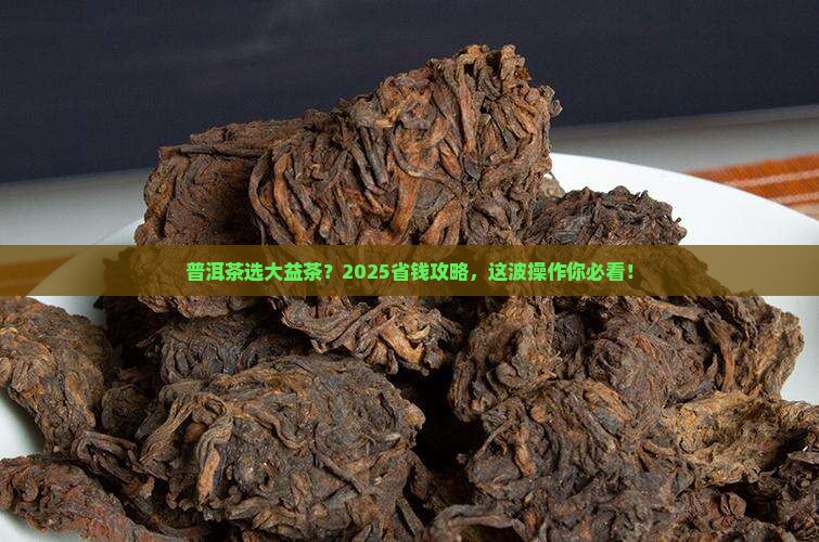 普洱茶选大益茶