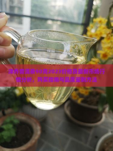 津乔普洱茶90克2023价格