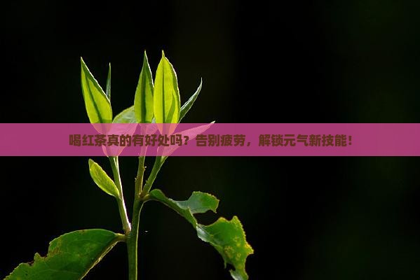 人喝红茶有什么好处