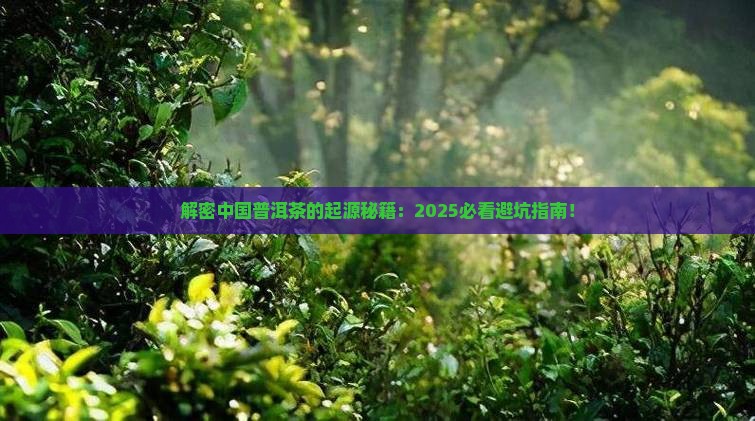 中国普洱茶的起源