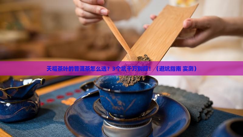 天福茶叶的普洱茶如何