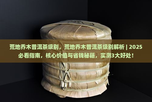 荒地乔木普洱茶级别