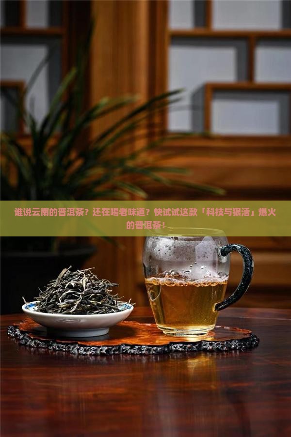 谁说云南的普洱茶